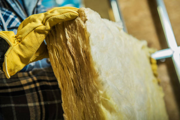 Best Attic Insulation Installation  in West Melbourne, FL